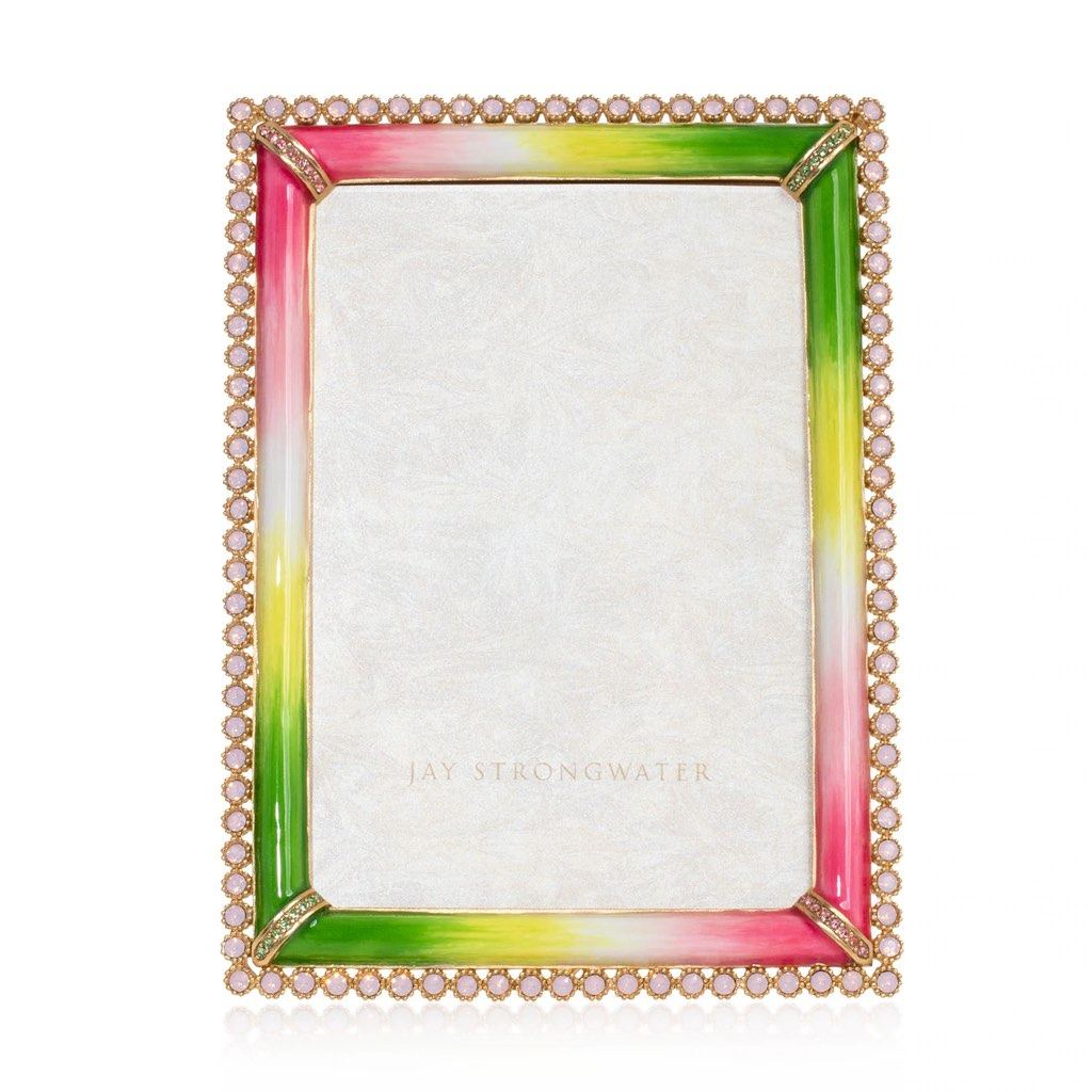 Jay Strongwater Lorraine Floral Decorative 4 - Inch by 6 - Inch Picture Frame with Stone Edge