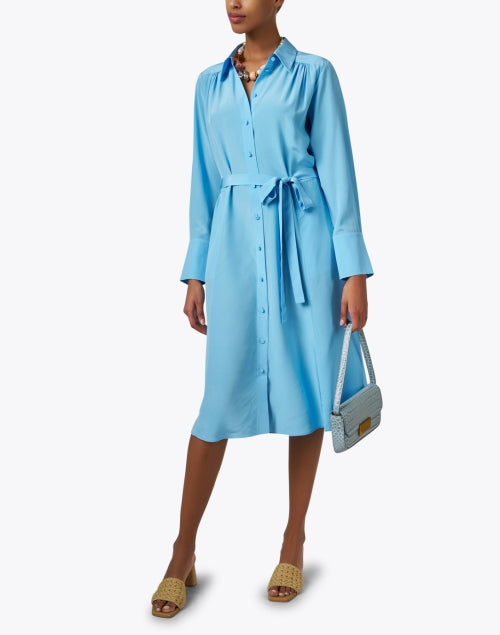 Diane Women's Blue Luxury Silk Shirt-style Dress