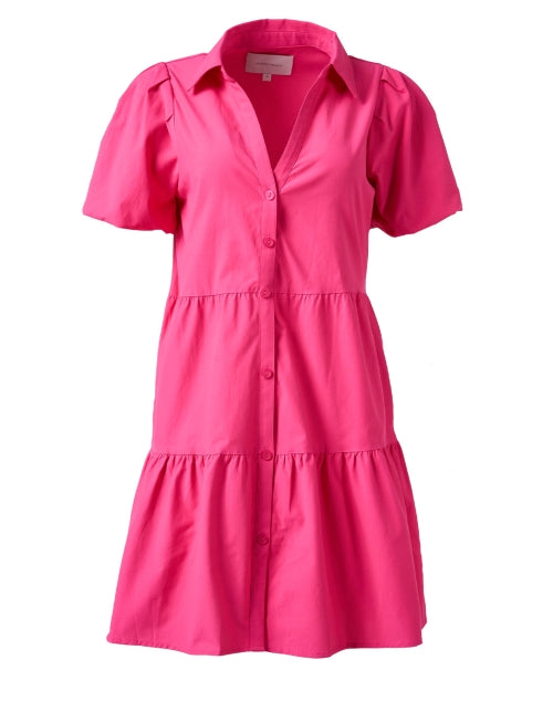 Brochu Walker's Trendy Havana Pink Mini Women's Dress