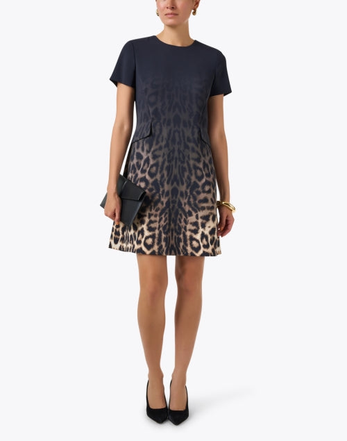 Stylish Ombre Overlaid Leopard Print Shift Dress for Fashionable Women